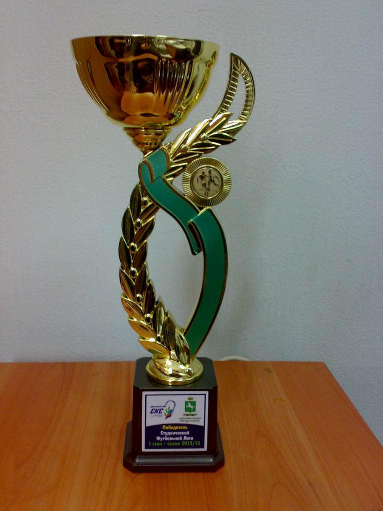 Кубок победителя студенческой футбольной лиги