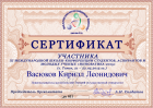 Сертификат Васюкова Кирилла