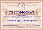 Сертификат Комковой Софьи