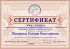Сертификат Панариной Ксении