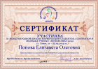 Сертификат Поповой Елизаветы
