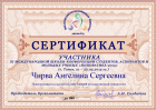 Сертификат Чирвы Ангелины