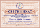 Сертификат Швецова Артёма
