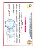 Сертификат Емельяновой Надежды