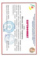 Сертификат Шведова Дениса