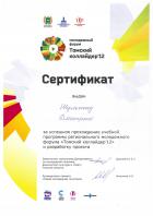 Сертификат Шульгина Дмитрия