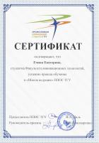 Сертификат Ечиной Екатерины